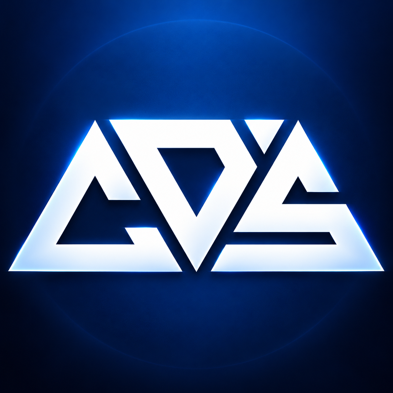 CustomDayZServices logo